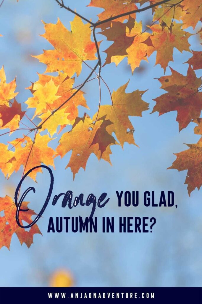 This list of fall and autumn captions will give you plenty of ideas for unique captions fall foliage instagram captions in European city, admiring fall foliage colors, apple picking, pumpkin carving, funny autumn moments or relaxing by a fireplace! What will you choose from the selection of Anja On Adventure fall and autumn instagram Captions? | Caption Ideas | Fall Caption | Autumn Instagram Caption | Autumn | Instagram #instagrammarketing #captionidea #igcaptionideas #puns #quotes