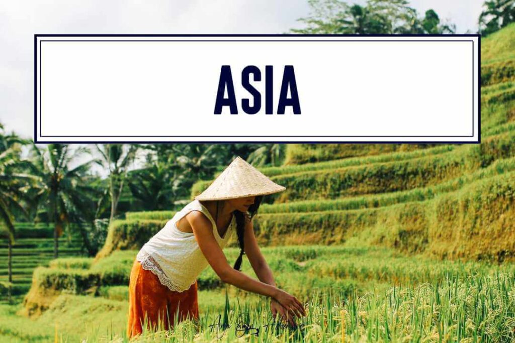 Woman on a rice field in Asia