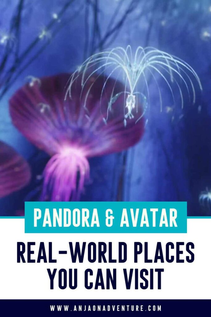 Stunning Pandora Destinations Every Avatar Fan Should Visit.