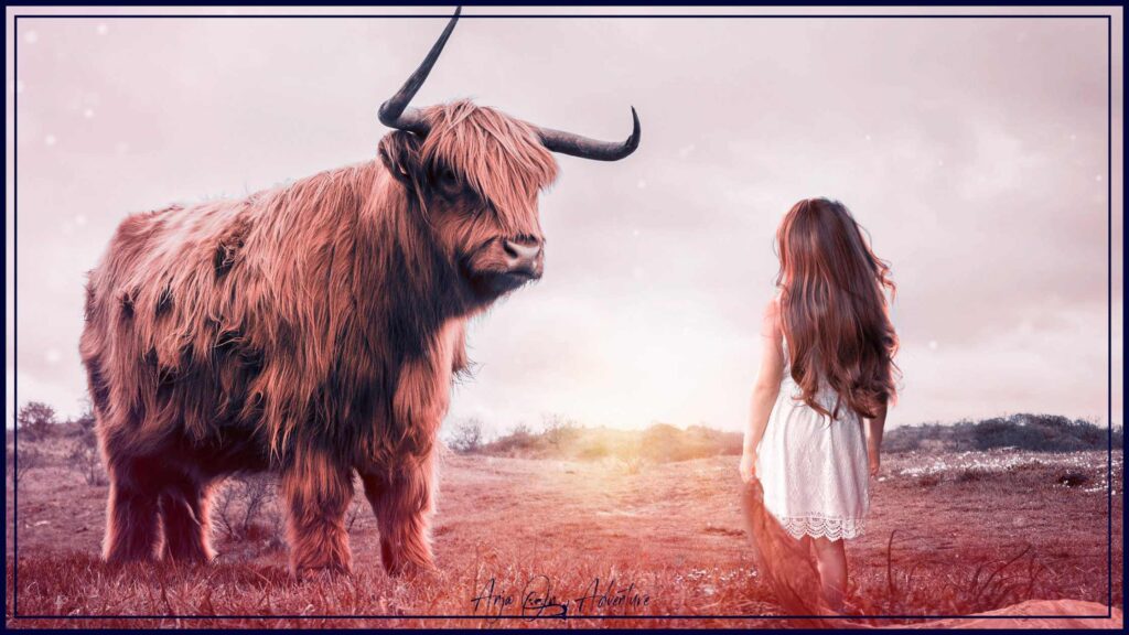 Girl facing a bull