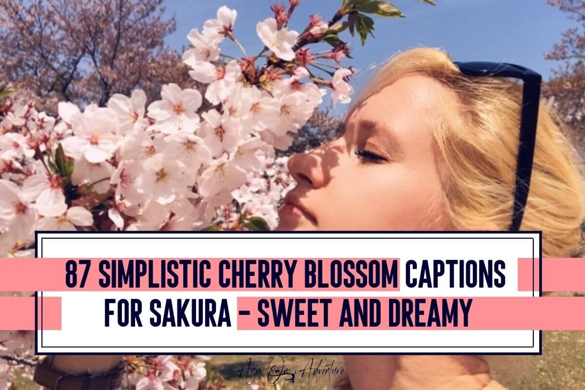 Want to see sakura? Check out the best Cherry blossom captions for Instagram, sakura quotes and sakura flower caption. Anja On Adventure shares the ultimate collection of cherry blossom quotes and cute sakura ig caption, that are suitable for photos of pink floral petals, blooming cherry trees, pink and white petals in Kyoto or Tokyo. You can also use quotes about cherry blossoms. | Sakura caption | travel Japan | cherry blossom caption | Hanami | Hanafubuki | #Tokyo #Kyoto #cherrytree #Japan