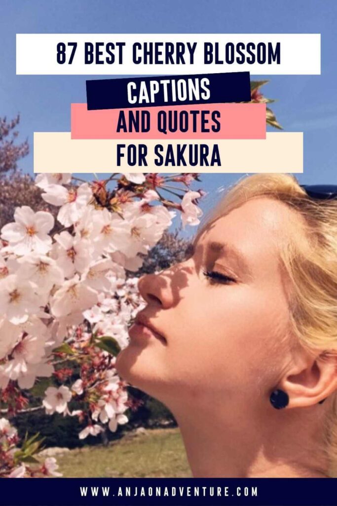 Want to see sakura? Check out the best Cherry blossom captions for Instagram, sakura quotes and sakura flower caption. Anja On Adventure shares the ultimate collection of cherry blossom quotes and cute sakura ig caption, that are suitable for photos of pink floral petals, blooming cherry trees, pink and white petals in Kyoto or Tokyo. You can also use quotes about cherry blossoms.

| Sakura caption | travel Japan | cherry blossom caption | Hanami | Hanafubuki |

#Tokyo #Kyoto #cherrytree #Japan