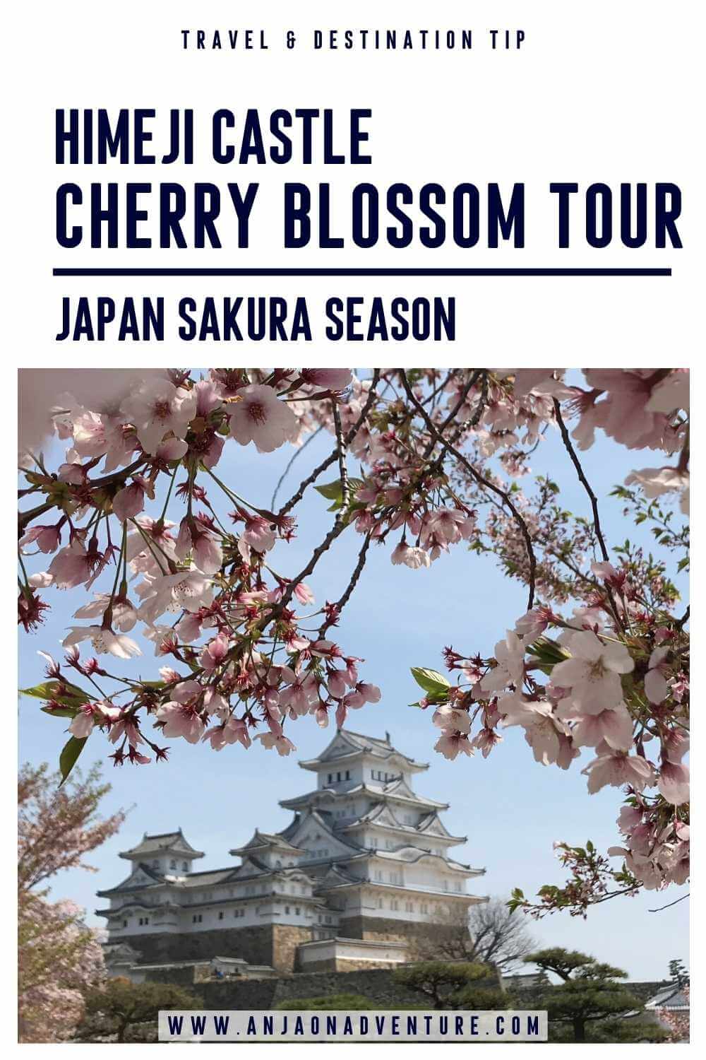 non stop travel japan cherry blossom tours 2023