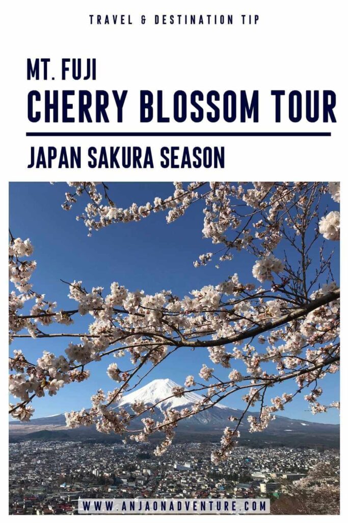 Ready for the ultimate cherry blossom experience? Sakura must be the best time to travel to Japan. To experience cherry blossom viewing or hanami like a local join one of Japan's cherry blossom tours. Admire stunning cherry trees, their pink and white petals, in Tokyo gardens, parks in Kyoto, or around Osaka castle.

Cherry blossom | Hanami | Sakura | travel Japan | japanese cherry blossom

#tokyo #eastasia #himeji #fuji #kyoto
