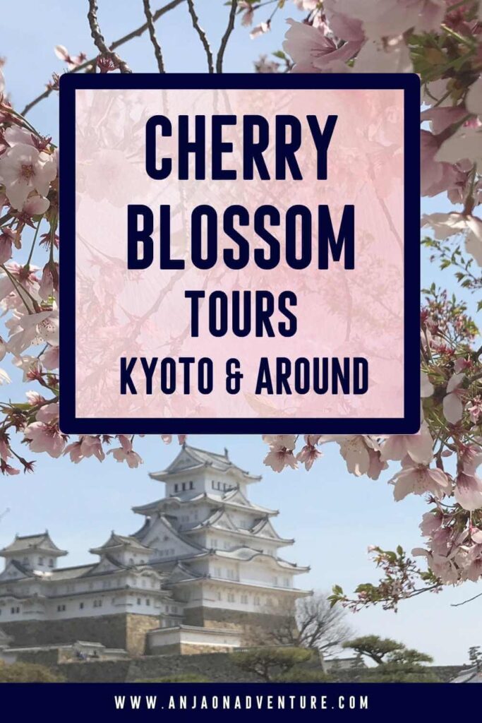 Cherry blossom season or sakura usually happens in March or April. It is a time when most tourists travel to Japan, to see pink and white petals of Japanese cherry blossom trees. Sign up for a tour in Tokyo, Kyoto, experience daytime or nighttime hanami with a special bento box. Admire the views of cherry trees with Mt. Fuji at Lake Kawaguchiko or Himeji castle. 

Cherry blossom season | spring | Sakura | travel Japan | East Asia

#tokyo #lakekawaguchi #himeji #fuji #kyoto