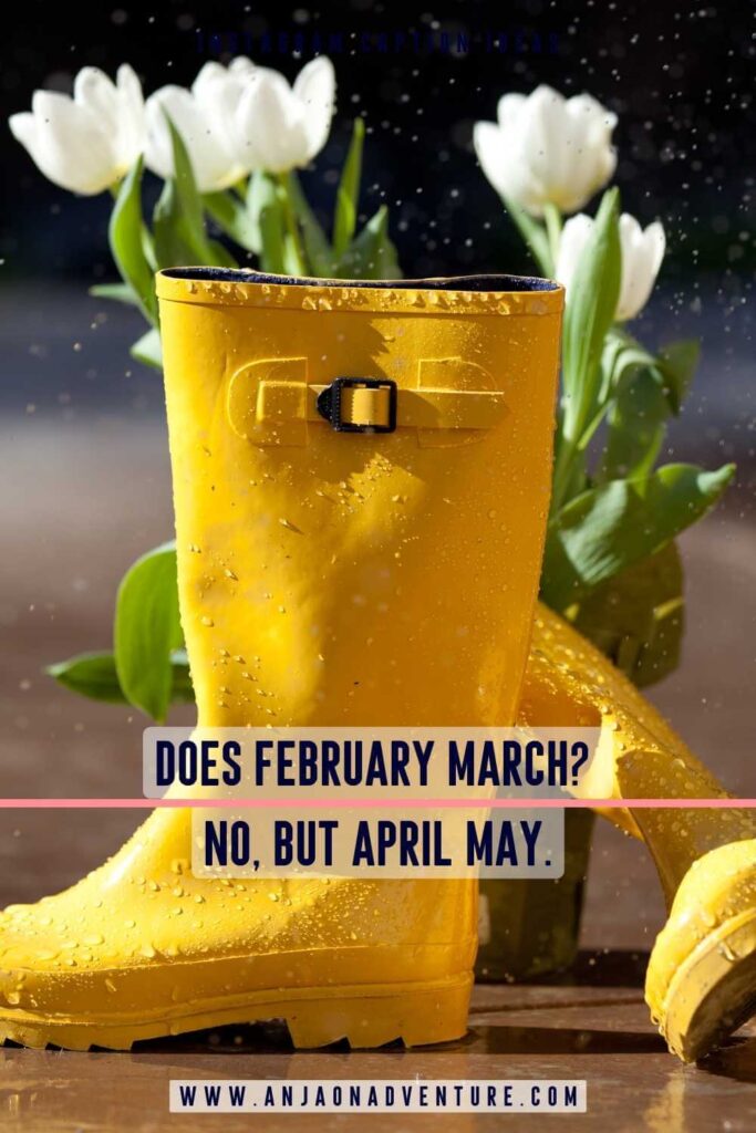 Looking for some scroll-stopping spring Instagram captions? This is the ultimate guide to the best captions for spring, spring quotes, funny flower puns, Easter captions, hilarious spring jokes and dad jokes about spring. Captions are suitable for any spring month, March, April, May, and June when spring flowers are in bloom or spring weather is on. | spring | Content Marketing | Content Creator | April jokes | April rain #travelcontent #maytravel #apriltravel #springflower #tulips