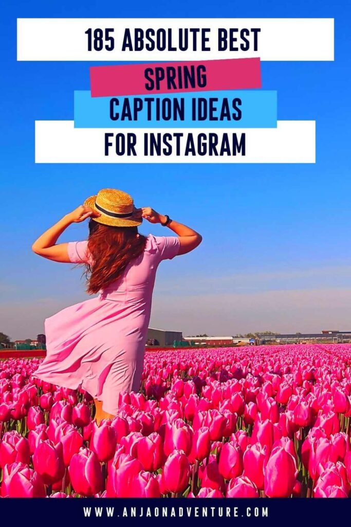 This list of spring captions for insta will give you plenty of ideas for unique captions when spending spring break in Mexico, admiring cherry blossoms in Japan or in Washington, taking photos of tulips in the Netherlands, jumping in puddles or coloring Easter eggs. What will you choose from the selection of Anja On Adventure spring Instagram Captions? | Caption Ideas | Easter caption | April | rain | tulip field #instagrammarketing #captionidea #igcaptionideas #puns #quotes #flowerpun