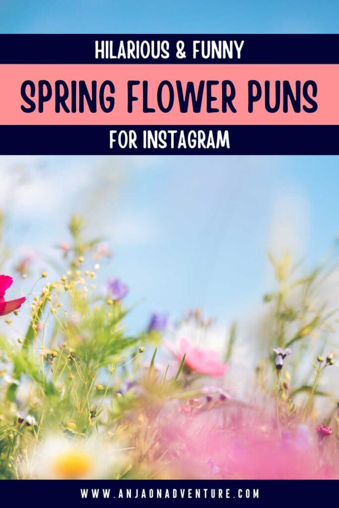 Looking for some scroll-stopping spring Instagram captions? This is the ultimate guide to the best captions for spring, spring quotes, funny flower puns, Easter captions, hilarious spring jokes and dad jokes about spring. Captions are suitable for any spring month, March, April, May, and June when spring flowers are in bloom or spring weather is on. | spring | Content Marketing | Content Creator | April jokes | April rain #travelcontent #maytravel #apriltravel #springflower #tulips