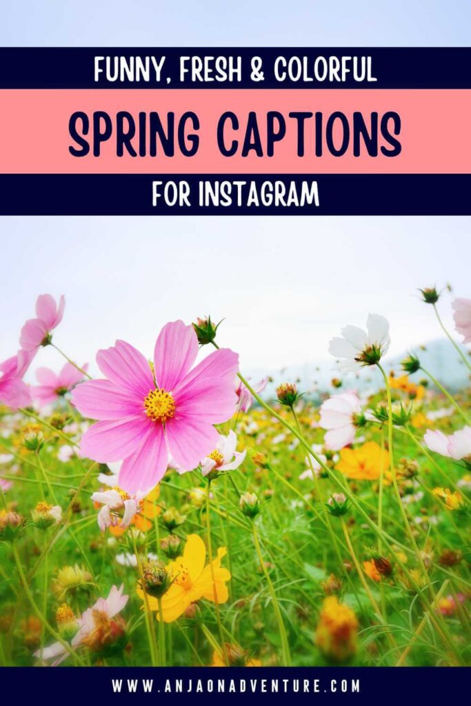 Spring! Check out the best spring captions for Instagram, spring puns captions, spring jokes, and spring quotes. Anja On Adventure shares the ultimate collection spring caption ideas, paired with flower puns, dad jokes, cherry blossom captions, Easter captions for Instagram and spring captions inspired by lyrics and movies. | Instagram caption | Instagram flowers | Instagram short | Spring break | for Insta #springtravel #captions #spring #Instagram #ig
