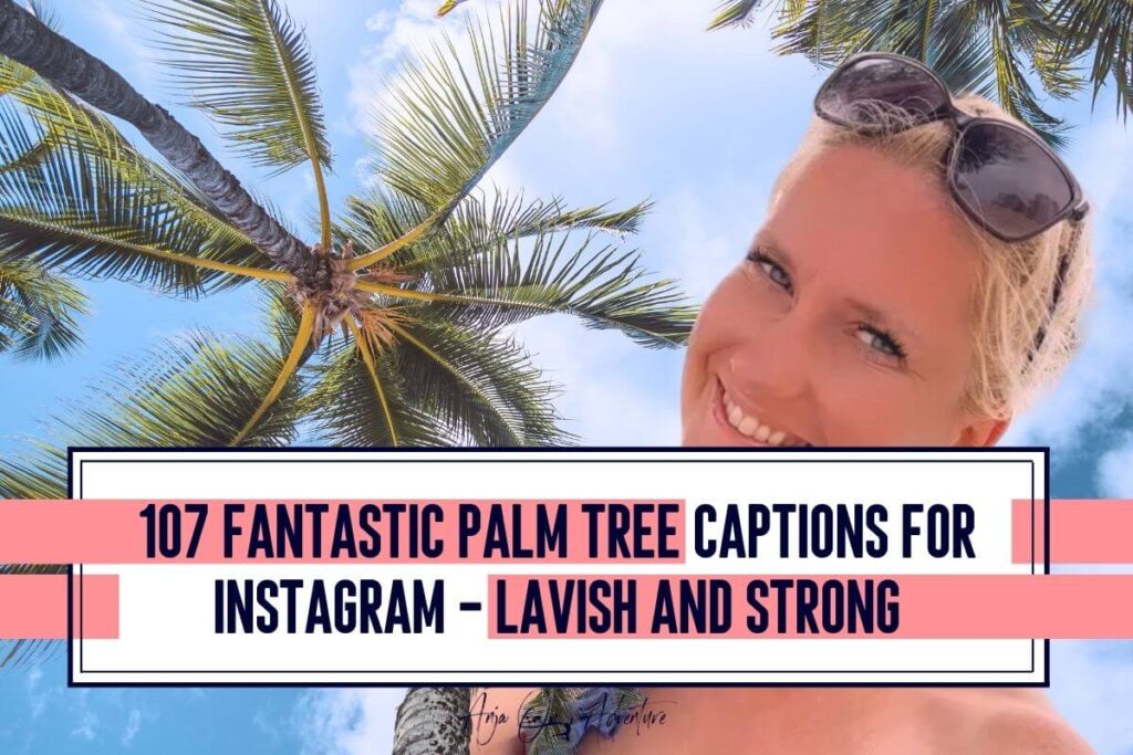 Capture the essence of paradise with these palm tree captions for Instagram! This is the ultimate guide to the best stop scrolling Instagram captions about palm trees and coconut trees. It includes palm tree quotes and palm tree puns for when you are simpping a summer cocktail and relaxing under a palm tree in Hawaii, Seychelles, Zanzibar, Aruba or Jamaica. Instagram | caption idea | Hawaii | vacation idea #beaches #tropicalisland #coconut #tropicalvibe #travelcaptions #summervacation