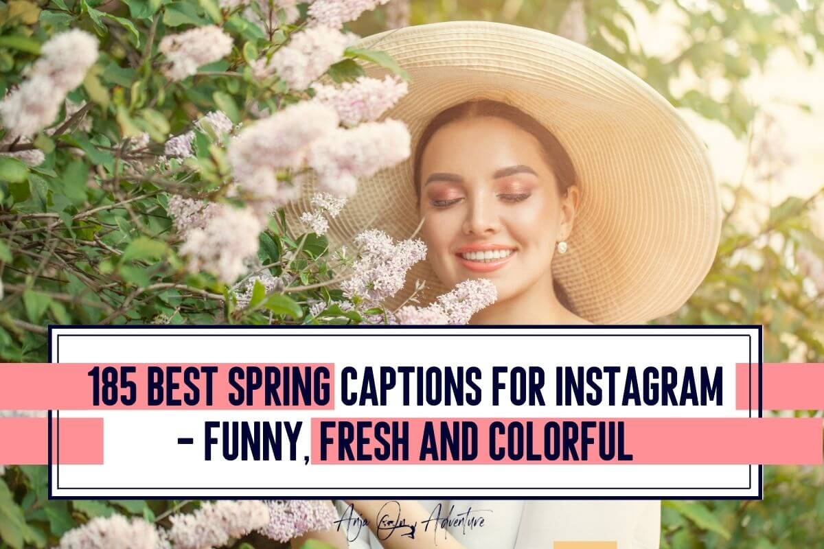 Best spring captions for Instagram. Perfect to match tulip fields, April showers, Easter eggs, May rainbows, daffodils and flower field photos.