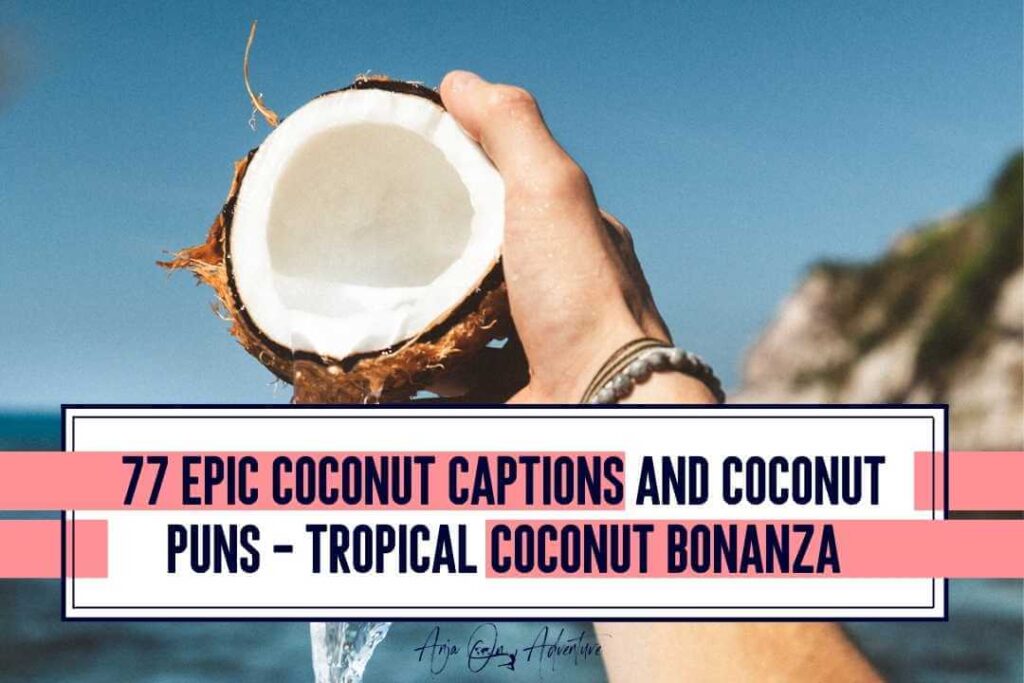Capture the essence of paradise with coconut captions for Instagram! This is the ultimate guide to the stop scrolling Instagram captions about coconut trees and coconuts. It includes coconut quotes and coconut puns for when you are sipping a summer cocktail and relaxing under a palm tree in Hawaii, Seychelles, Zanzibar, Aruba or Jamaica. Instagram | caption idea | Hawaii | vacation idea #beaches #tropicalisland #coconut #tropicalvibe #travelcaptions #summervacation