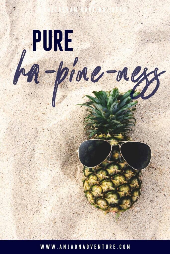 Capture the essence of paradise with these pineapple captions for Instagram! This is the ultimate guide to the best stop scrolling Instagram captions about pineapples. It includescute pineapple puns, pineapple riddles and pineapple jokes for when you are sipping a summer cocktail. Instagram | caption idea | yellow | tropical fruit | summer bucket list #beaches #tropicalisland #pineapple #tropicalvibe #travelcaptions #summervacation