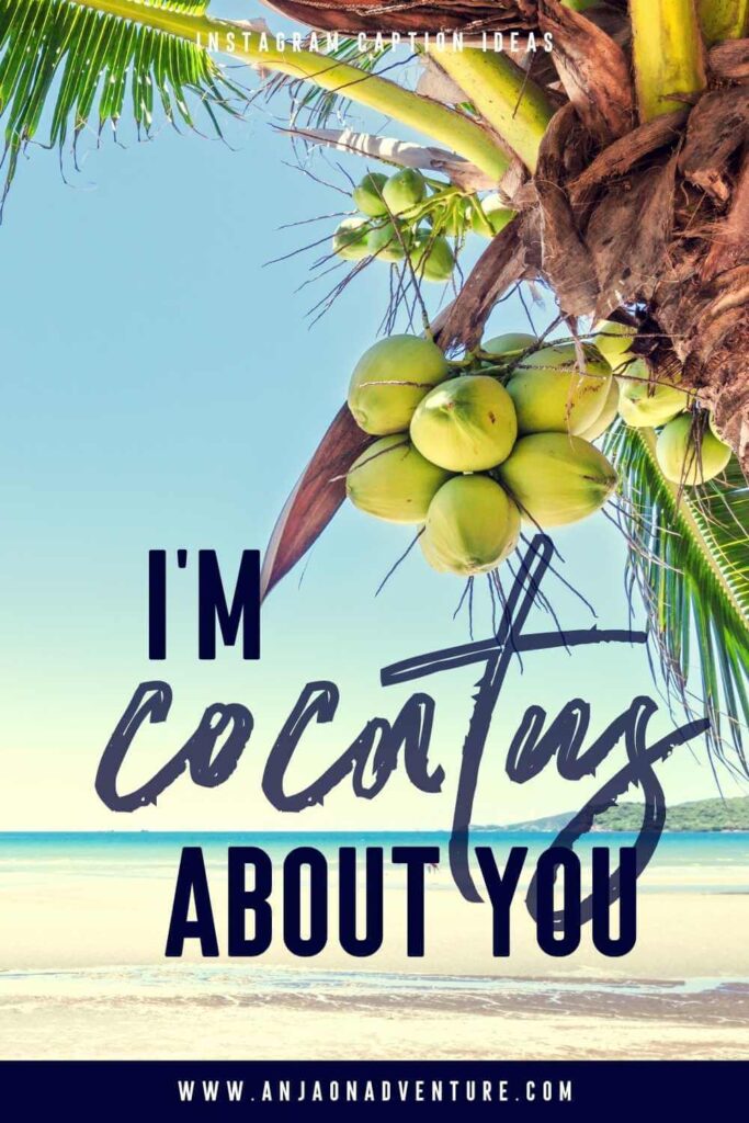 Coconuts bring tropical and summer vibes. Next time you drink coconut water, use this list of Coconut puns for you Instagram photo. Here you will find coconut tree puns, cute coconut puns and tender coconut puns to make you laugh when making coconut pie, coconut cake or pina colada.  Perfect for aesthetic summer vacation ideas.

| Instagram | coconut Puns | Island Caption | Tropical Instagram Caption | coconut captions

#instagrammarketing #tropicalcaption #holidaycaption #paradise #cocktail