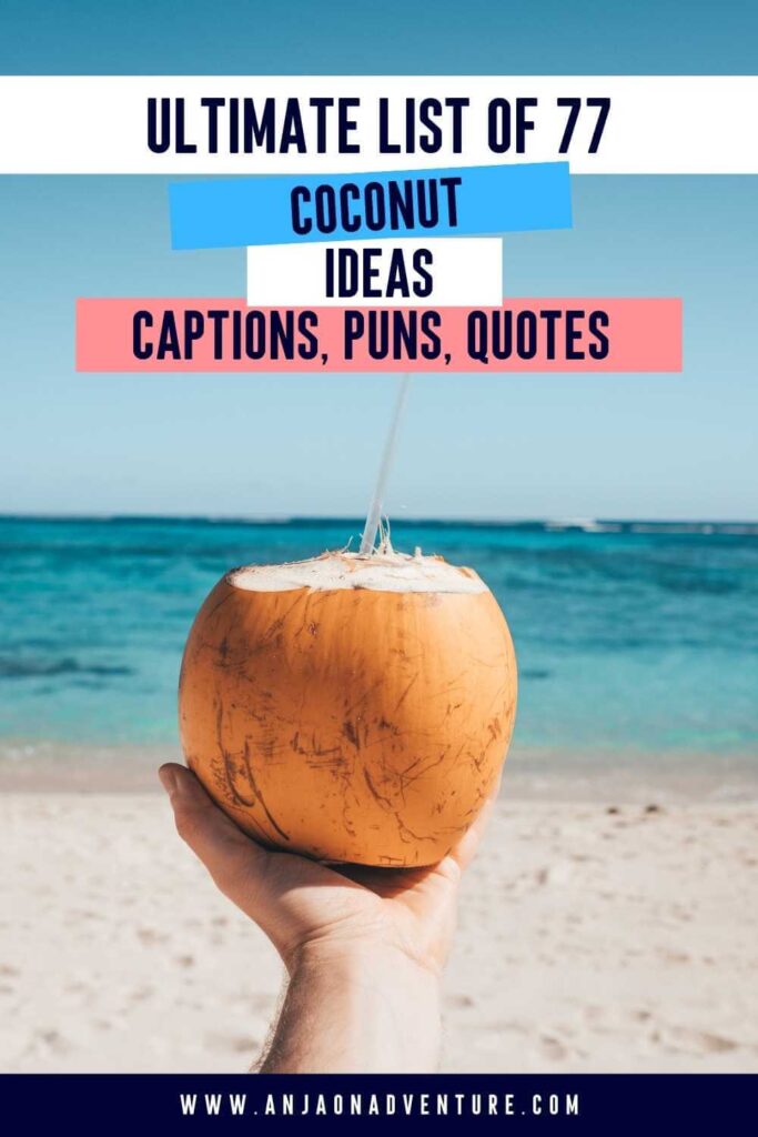 Coconuts bring tropical and summer vibes. Next time you drink coconut water, use this list of Coconut puns for you Instagram photo. Here you will find coconut tree puns, cute coconut puns and tender coconut puns to make you laugh when making coconut pie, coconut cake or pina colada. Perfect for aesthetic summer vacation ideas. | Instagram | coconut Puns | Island Caption | Tropical Instagram Caption | coconut captions #instagrammarketing #tropicalcaption #holidaycaption #paradise #cocktail