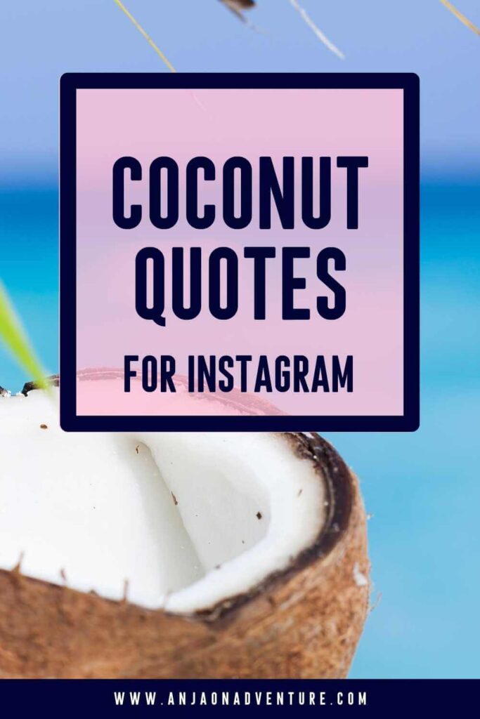Searching for Coconut quote? Check out the best coconut Instagram quotes and inspirational coconut  sayings. Anja On Adventure shares the ultimate collection of coconut tree quotes suitable when visiting tropical islands like Hawaii or Seychelles, spending Summer in Europe, or when making coconut cake, or sipping pina colada.

| Vacation | coconut captions Instagram | Quote | green coconut | Coconut

#instagramcaption #tropicalidea #travelquote #travelcaption #natureknows