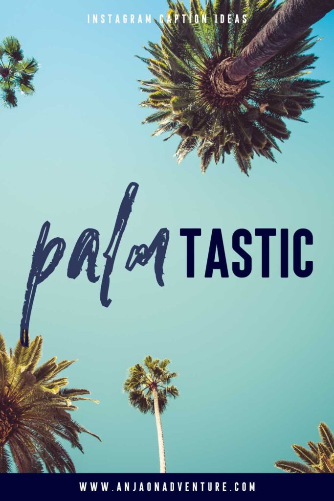 Searching for Palm tree quote? Check out the best Palm tree Instagram quotes and inspirational palm tree sayings. Anja On Adventure shares the ultimate collection of palm tree quotes suitable when visiting tropical islands like Hawaii or Seychelles, spending Summer in Europe summer, partying in Mexico, traveling through the Middle East, or driving in Los Angeles. | Vacation | Palm Caption | Quote | Palm tree | Coconut #instagramcaption #tropicalidea #travelquote #travelcaption #natureknows