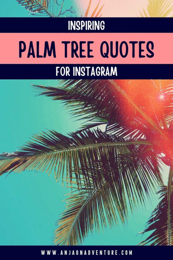 Searching for Palm tree quote? Check out the best Palm tree Instagram quotes and inspirational palm tree sayings. Anja On Adventure shares the ultimate collection of palm tree quotes suitable when visiting tropical islands like Hawaii or Seychelles, spending Summer in Europe summer, partying in Mexico, traveling through the Middle East, or driving in Los Angeles. 

| Vacation | Palm Caption | Quote | Palm tree | Coconut

#instagramcaption #tropicalidea #travelquote #travelcaption #natureknows