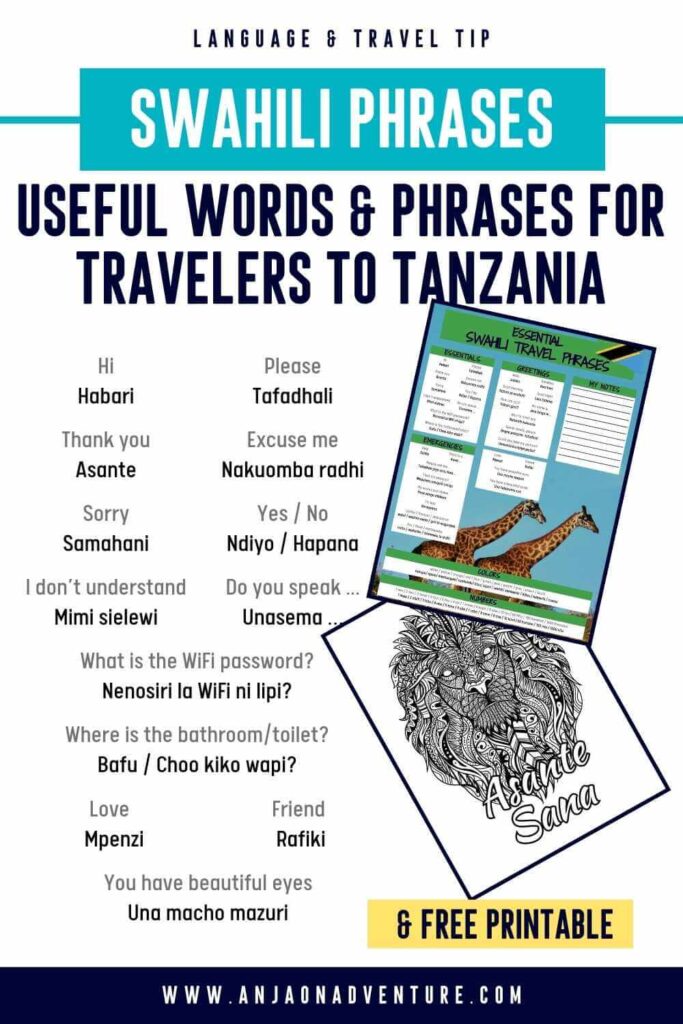 Visiting Tanzania? Check out this list of Swahili travel words and learn Swahili language basics for your trip to Mt. Kilimanjaro or Zanzibar Island. From how to say thank you in Swahili, to phrases for ordering food and words for going around for easy navigation when in Stone Town. FREE Cheat Sheet and coloring pages. Tanzania travel | Zanzibar content | Swahili travel phrases | Serengeti | Coloring page | NgoroNgoro | Lion King #travelwords #bujo #asante #rafiki #simba #freedownload