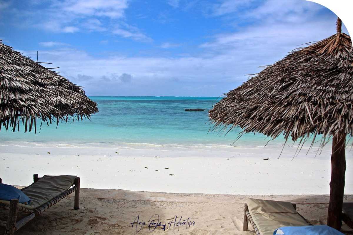 Stay in some of the most amazing hotels in Jambiani Zanzibar hotels and enjoy spectacular views of the Indian Ocean right from your hotel room. These are the top beach hotels to stay at when in Zanzibar, traveling in Tanzania and East Africa. 

| Beach Hotel | Tanzania Travel | Zanzibar | Jambiani | Island Girl

#jambiani #luxuryhotel #tropical honeymoon #tropicalvacation #beachhotel