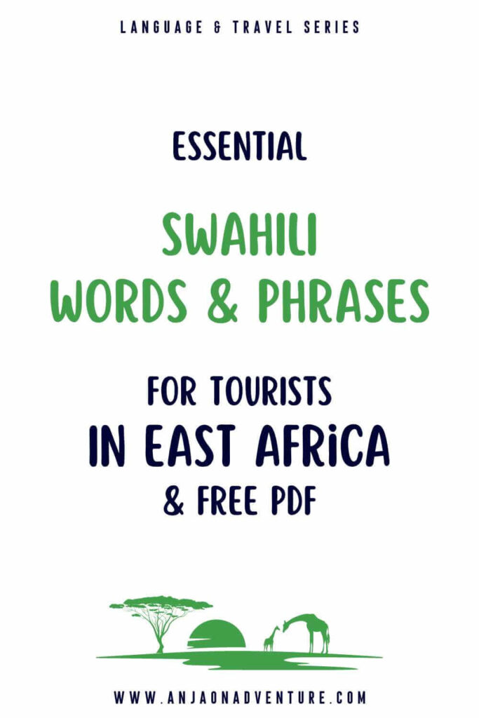 Visiting Tanzania? Check out this list of Swahili travel words and learn Swahili language basics for your trip to Mt. Kilimanjaro or Zanzibar Island. From how to say thank you in Swahili, to phrases for ordering food and words for going around for easy navigation when in Stone Town. FREE Cheat Sheet and coloring pages.

Tanzania travel | Zanzibar content | Swahili travel phrases | Serengeti | Coloring page | NgoroNgoro | Lion King

#travelwords #bujo #asante #rafiki #simba #freedownload