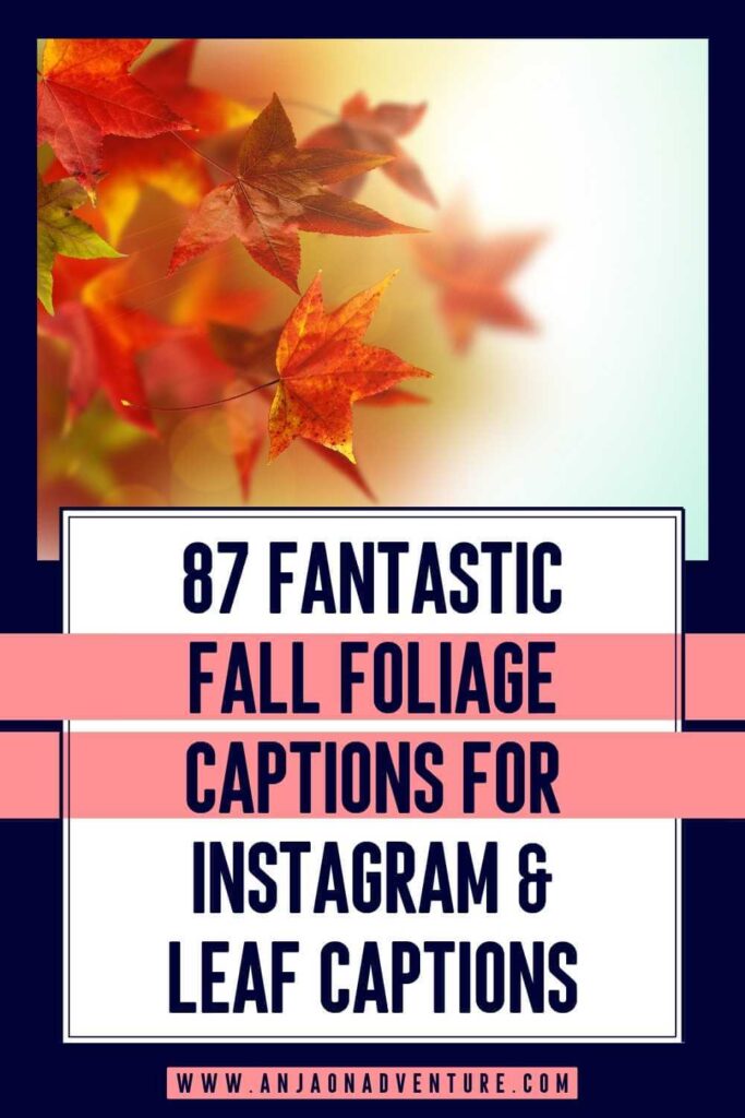Best Fall foliage captions for Instagram. The best fall leaves captions for Instagram and falling leaves quotes for autumn leaves aesthetics. Anja On Adventure shares the ultimate collection of fall leaves Instagram captions, autumn leaves Instagram captions for aesthetic autumn vibes. 

| Instagram caption | crimson | falling leaves | autumn leaves | fall leaves

#falltravel #travelinfall #fall #instagamcaption #caption #amber