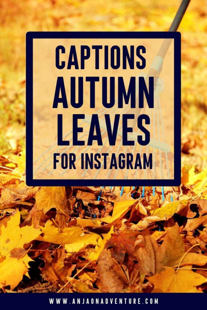 This list of fall foliage captions for Instagram will give you plenty of ideas for unique captions when admiring falling leaves in Europe, Canada, USA or Japan. Best fall leaves caption for Instagram post paired with leaf puns and autumn leaves quotes. What will you choose from the selection of Anja On Adventure fall foliage captions for Instagram? | Caption Ideas | Fall in USA | October | rain | maple leaf #instagrammarketing #captionidea #igcaptionideas #leaf #leaves #orangeleaves